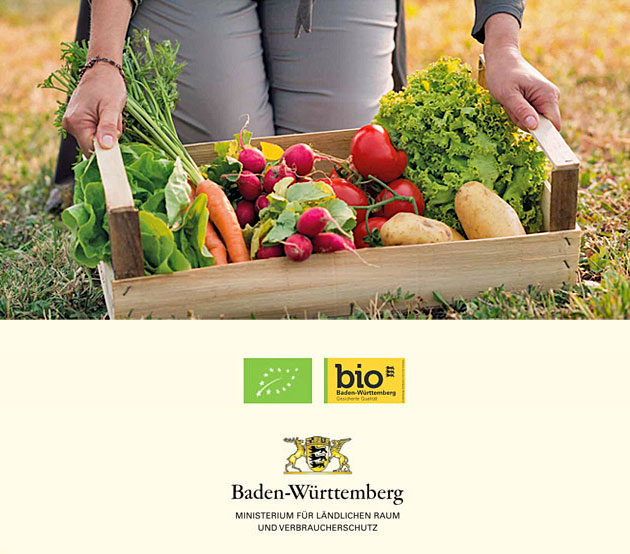 Cover image.