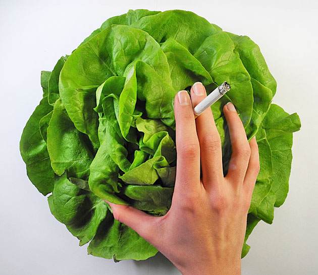 Abb. 1 : Salat – aber bitte ohne Zigarette!